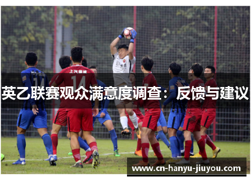 英乙联赛观众满意度调查：反馈与建议