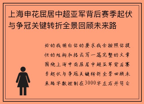 上海申花屈居中超亚军背后赛季起伏与争冠关键转折全景回顾未来路